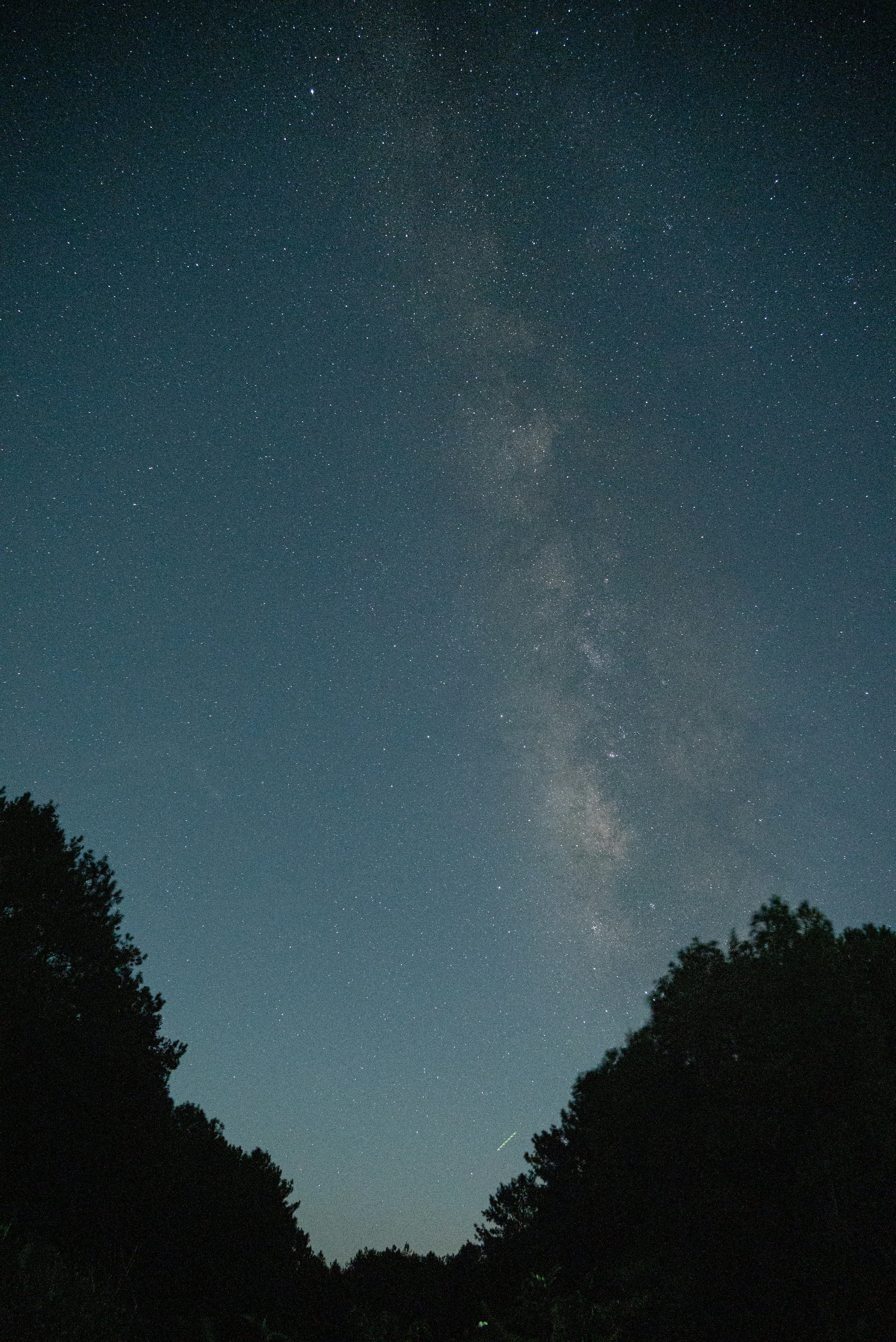 Night Sky